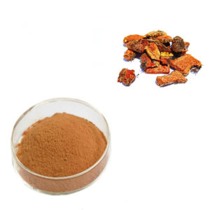 Родиола розовая корень (салидрозид 1%) 50 грамм фото