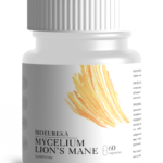 Мицелий ежевика гребенчатого 60 капсул для нормализации обменных процессов фото 1 уменьшенное