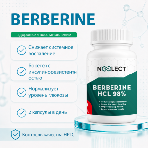 Berberine HCL 98% 60 капсул фото