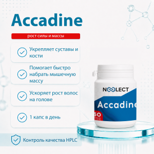 Accadine AC-262 60 капсул фото