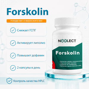 Forskolin (Форсколин ) 60 капсул фото