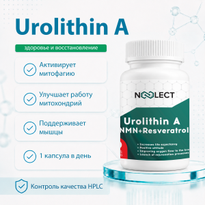 Уролитин А Ультра 60 капсул фото