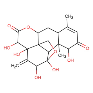 Эврикоманон 1% (EURYCOMANONE) 60 капсул фото