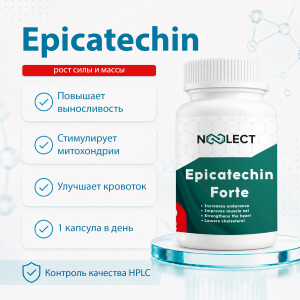 Epicatechin Forte 60 капсул фото
