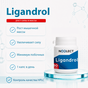 Ligandrol (LGD-4033) 60 капсул фото